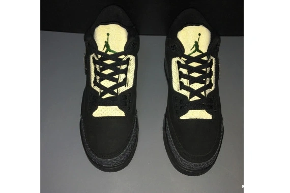 Jordan Oregon Retro Air 3 AJ3-902027 AJ3-902027 Duck 0410